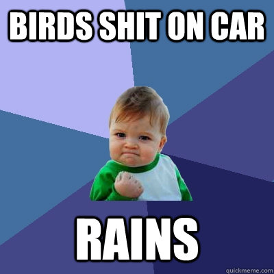 birds shit on car rains  Success Kid