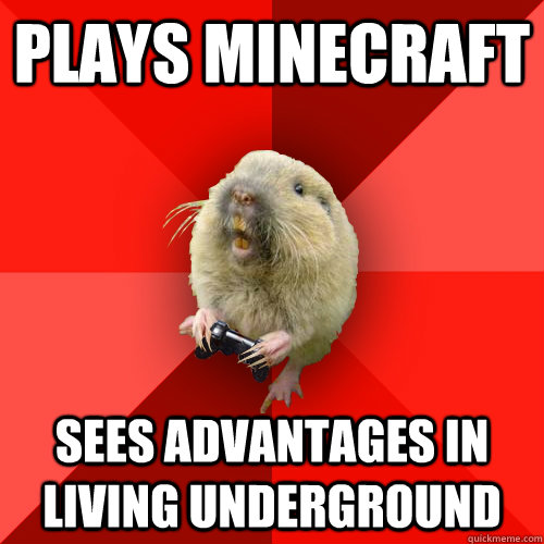 plays minecraft sees advantages in living underground  Gaming Gopher