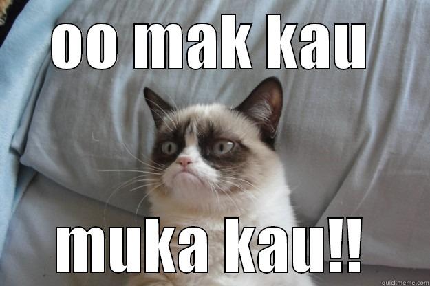 OMG!!! lol funny - OO MAK KAU MUKA KAU!! Grumpy Cat