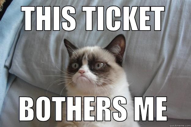 THIS TICKET BOTHERS ME Grumpy Cat