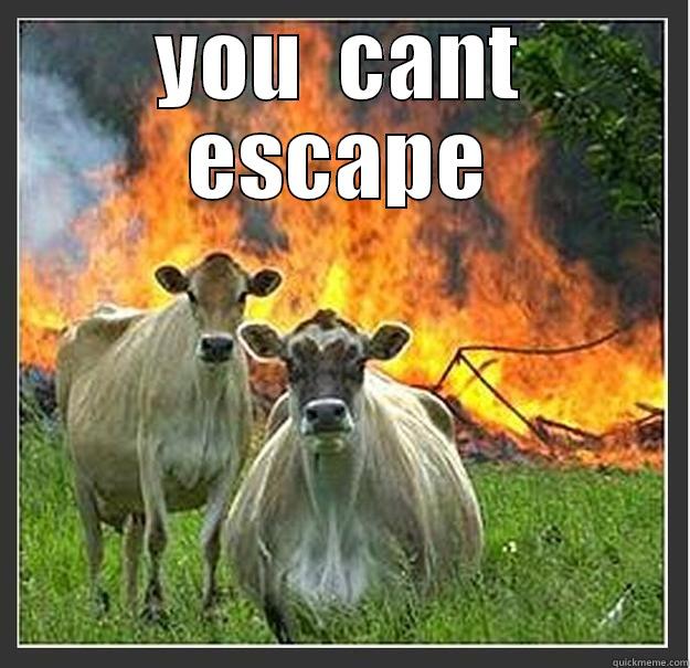 YOU  CANT ESCAPE  Evil cows