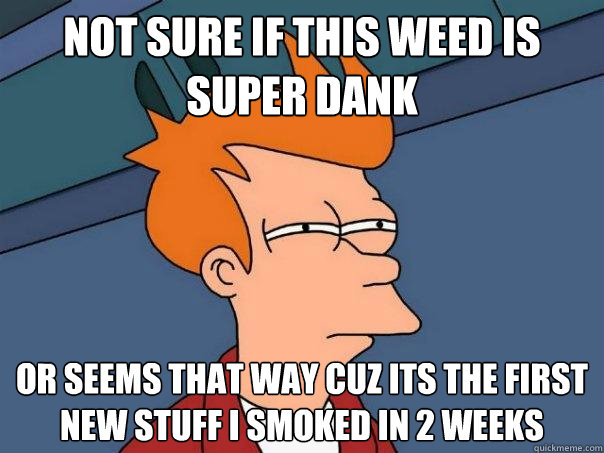 Not sure if this weed is super dank or seems that way cuz its the first new stuff i smoked in 2 weeks - Not sure if this weed is super dank or seems that way cuz its the first new stuff i smoked in 2 weeks  Futurama Fry