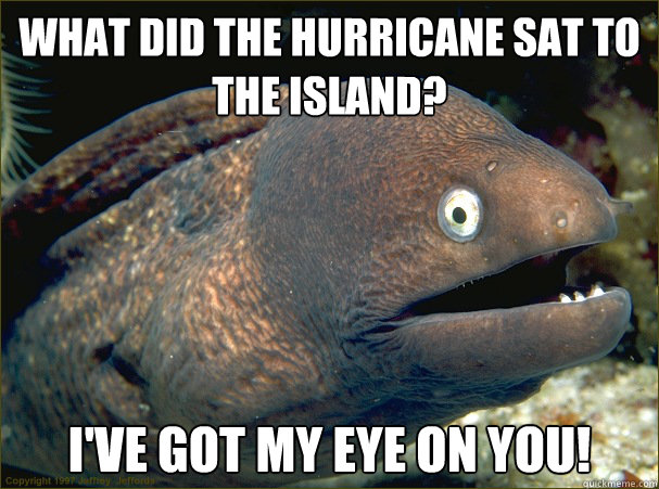 What did the hurricane sat to the island? I've got my eye on you! Caption 3 goes here  Bad Joke Eel