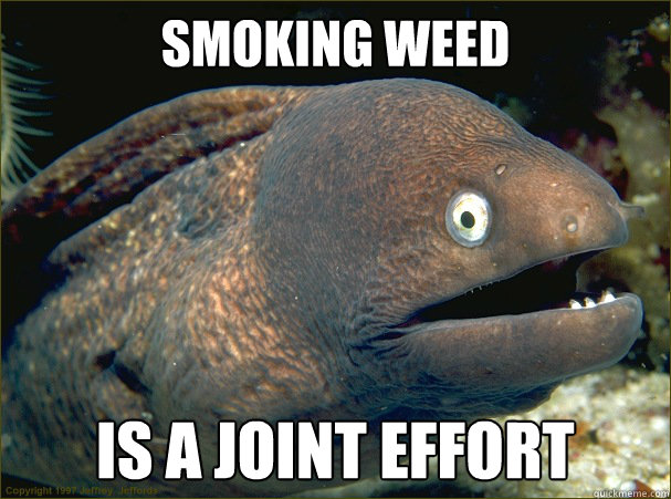 Smoking Weed Is a Joint Effort  Bad Joke Eel