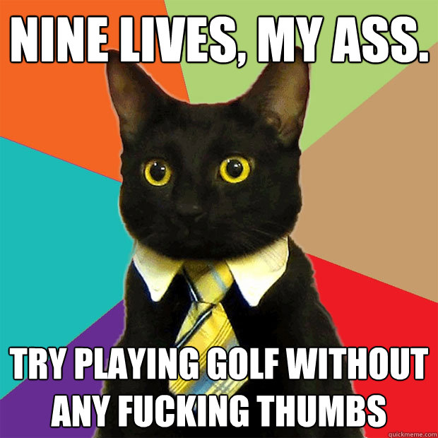 nine lives, my ass. try playing golf without any fucking thumbs  Business Cat