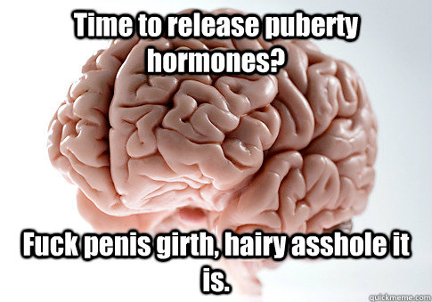 Time to release puberty hormones? Fuck penis girth, hairy asshole it is.   Scumbag Brain