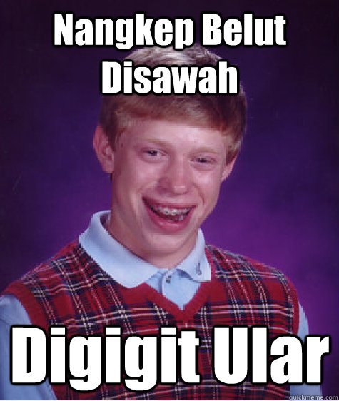 Nangkep Belut Disawah Digigit Ular  Bad Luck Brian