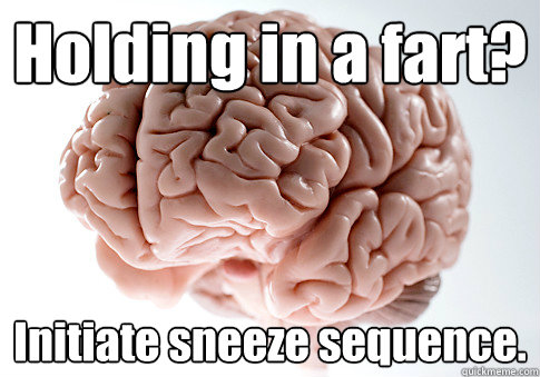 Holding in a fart? Initiate sneeze sequence.   Scumbag Brain