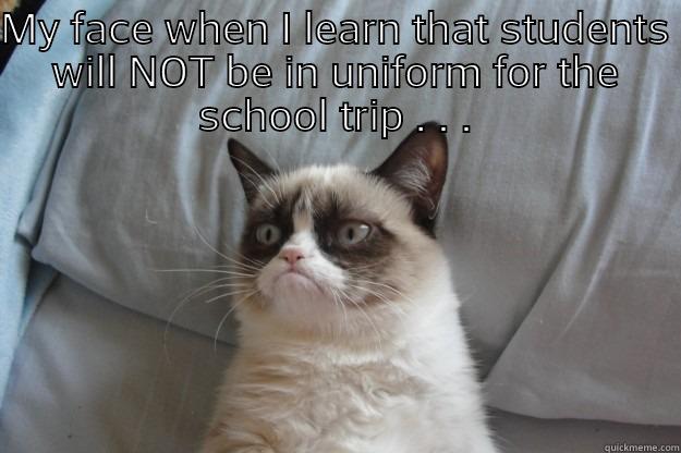 MY FACE WHEN I LEARN THAT STUDENTS WILL NOT BE IN UNIFORM FOR THE SCHOOL TRIP . . .  Grumpy Cat