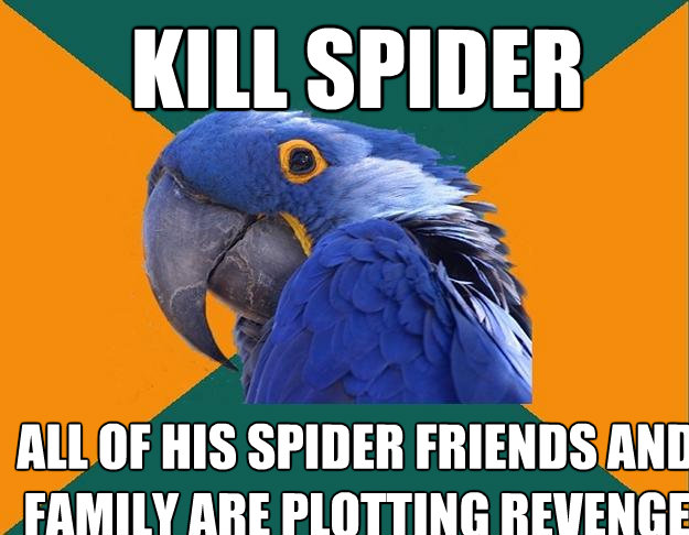 kill spider all of his spider friends and family are plotting revenge  Paranoid Parrot