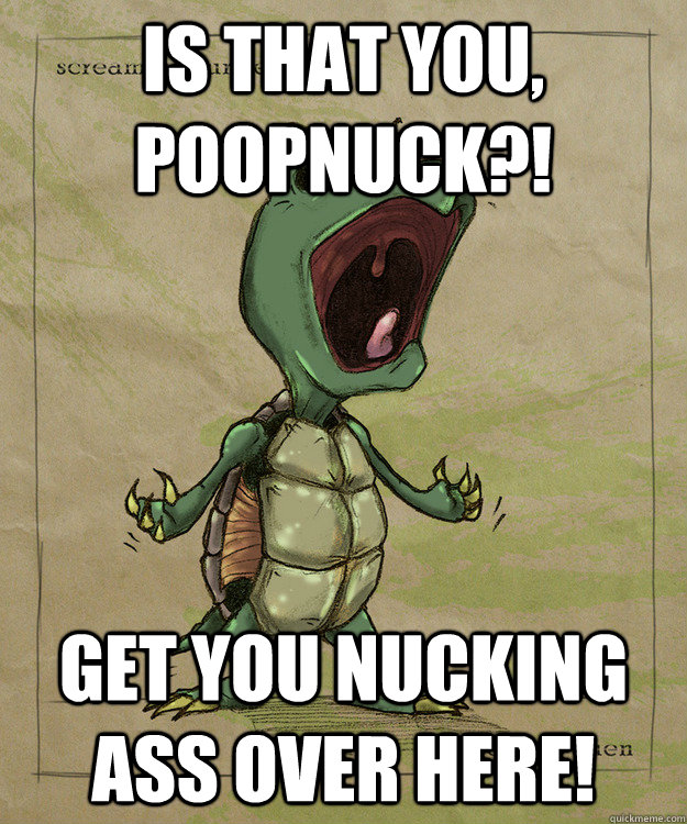 is that you, poopnuck?! get you nucking ass over here! - is that you, poopnuck?! get you nucking ass over here!  Box Turtles