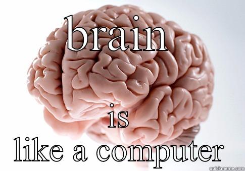 BRAIN IS LIKE A COMPUTER Scumbag Brain