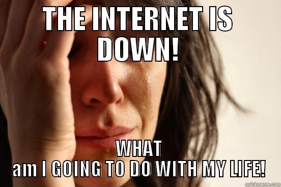 Life lol! - THE INTERNET IS DOWN! WHAT AM I GOING TO DO WITH MY LIFE! First World Problems