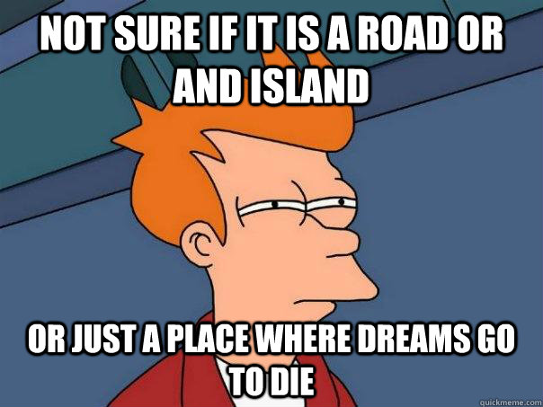 NOT SURE IF IT IS A ROAD OR AND ISLAND OR JUST A PLACE WHERE DREAMS GO TO DIE  Futurama Fry