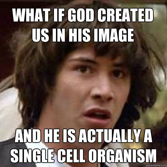 What if god created us in his image and he is actually a single cell organism - What if god created us in his image and he is actually a single cell organism  conspiracy keanu