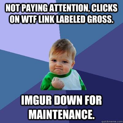 Not paying attention, clicks on WTF link labeled Gross. imgur down for maintenance.  Success Kid