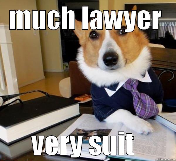 MUCH LAWYER VERY SUIT  Lawyer Dog