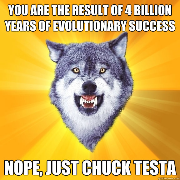 you are the result of 4 billion years of evolutionary success Nope, Just Chuck Testa  Courage Wolf