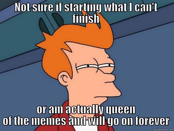 NOT SURE IF STARTING WHAT I CAN'T FINISH OR AM ACTUALLY QUEEN OF THE MEMES AND WILL GO ON FOREVER Futurama Fry