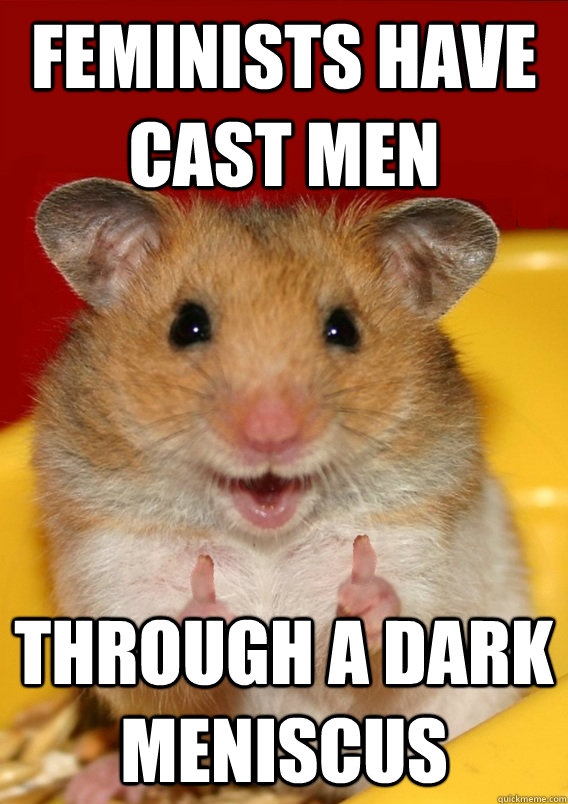 feminists have cast men through a dark meniscus  - feminists have cast men through a dark meniscus   Rationalization Hamster