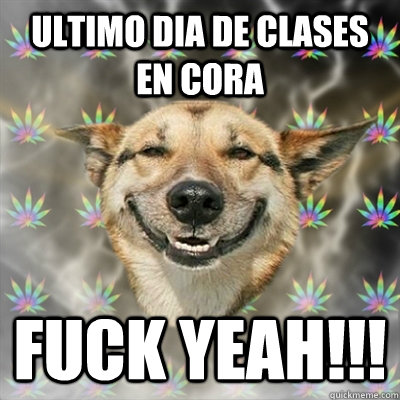 Ultimo dia de clases en cora Fuck yeah!!!  Stoner Dog