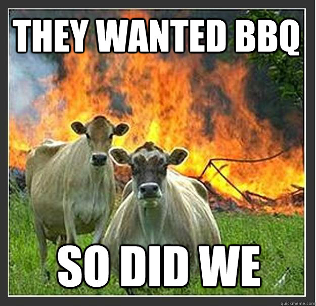 They wanted BBQ So did we   Evil cows