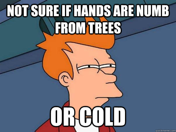 Not sure if Hands are numb from trees or cold - Not sure if Hands are numb from trees or cold  Futurama Fry