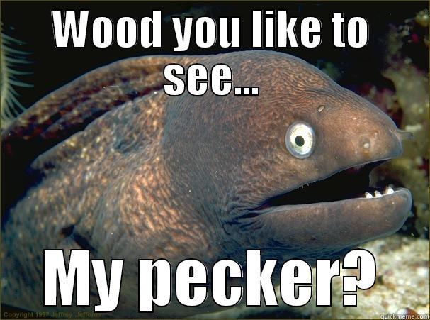 WOOD YOU LIKE TO SEE... MY PECKER? Bad Joke Eel