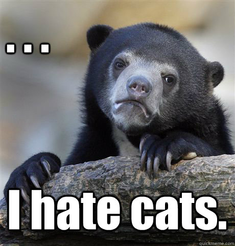 . . . I hate cats. - . . . I hate cats.  Confession Bear