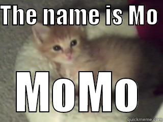 THE NAME IS MO  MOMO Misc