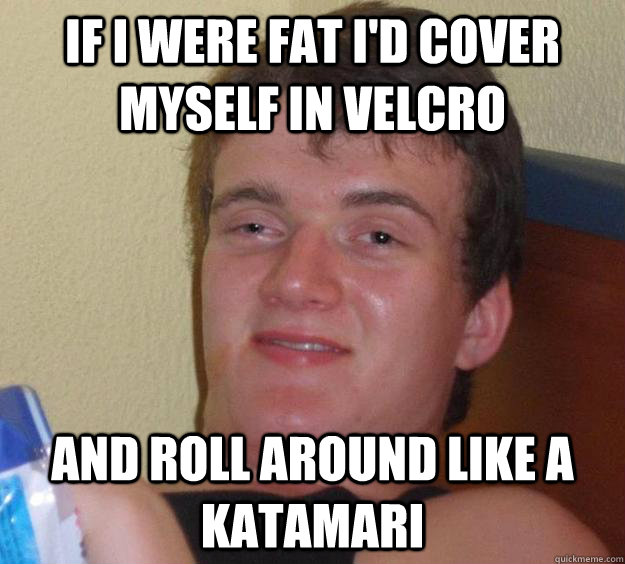 if i were fat i'd cover myself in velcro and roll around like a katamari   10 Guy