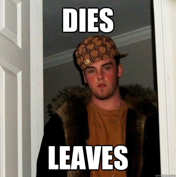 Dies Leaves  Scumbag Steve