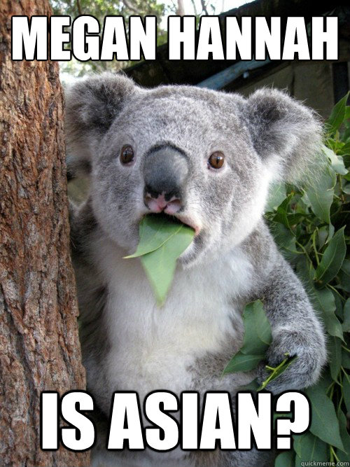 Megan Hannah Is ASIAN? - Megan Hannah Is ASIAN?  koala bear