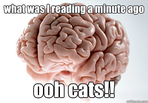 what was I reading a minute ago ooh cats!!  - what was I reading a minute ago ooh cats!!   Scumbag Brain