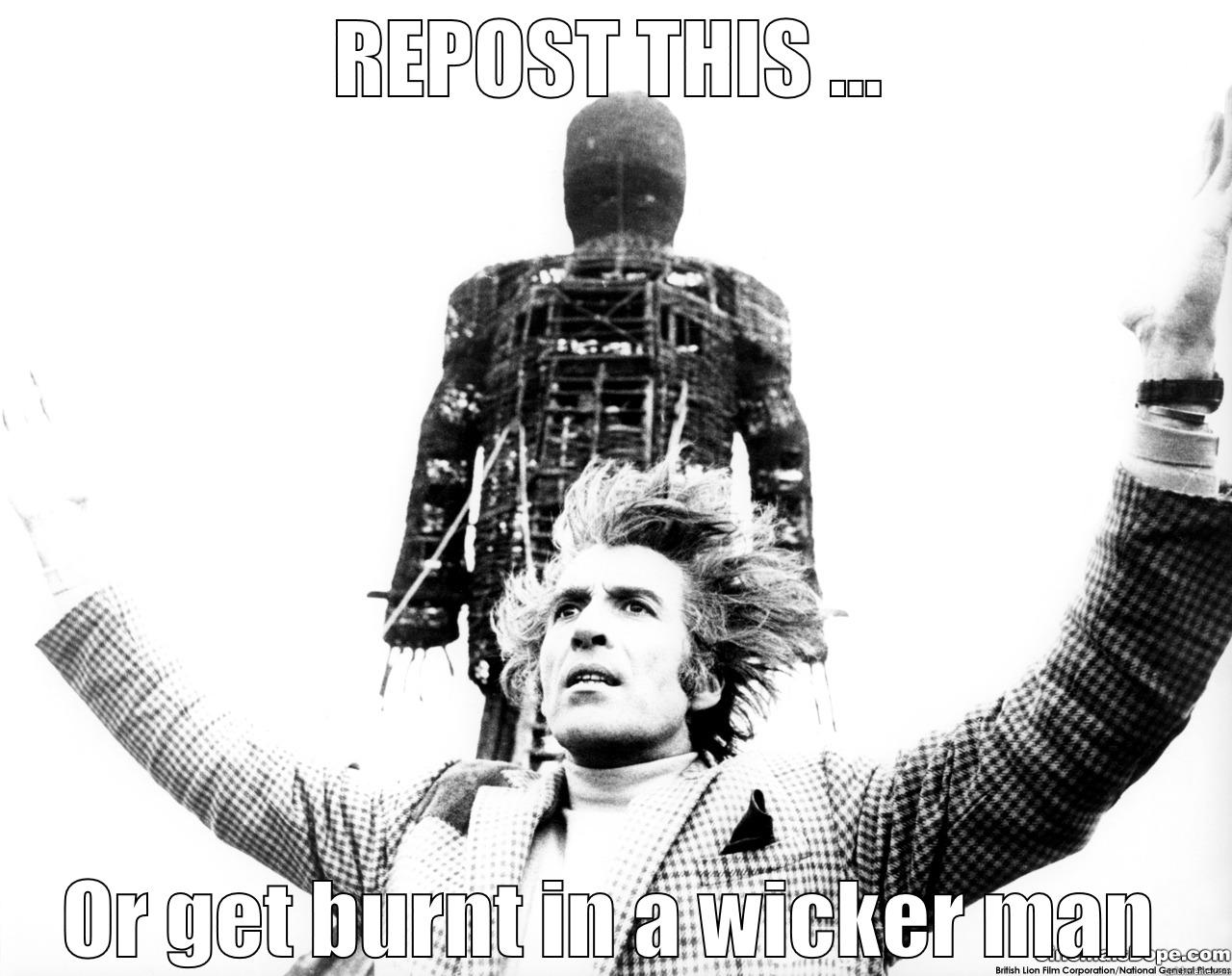 Wicker man - REPOST THIS ... OR GET BURNT IN A WICKER MAN Misc