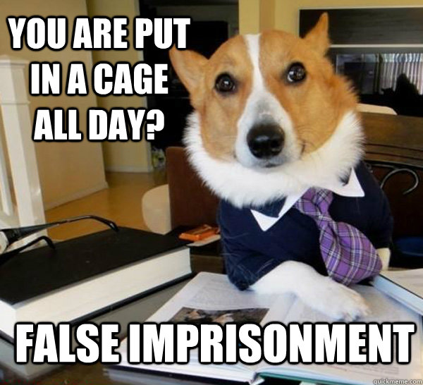 You are put in a cage all day? false imprisonment  Lawyer Dog