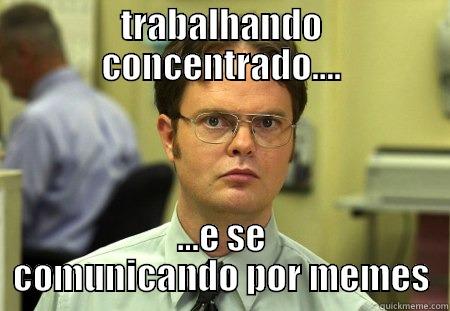 TRABALHANDO CONCENTRADO.... ...E SE COMUNICANDO POR MEMES Schrute