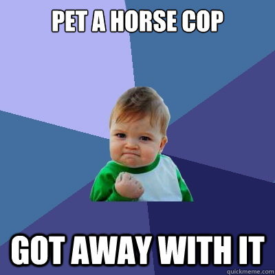 Pet a horse cop got away with it  Success Kid