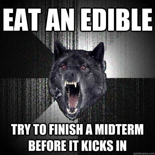 Eat an edible Try to finish a midterm before it kicks in  Insanity Wolf