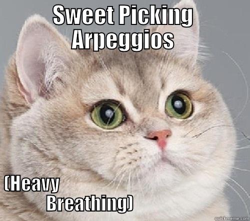 SWEET PICKING ARPEGGIOS                                                                                                    (HEAVY                                                                   BREATHING)                                 Misc