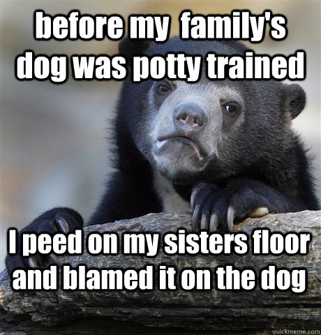 before my  family's dog was potty trained I peed on my sisters floor and blamed it on the dog  Confession Bear