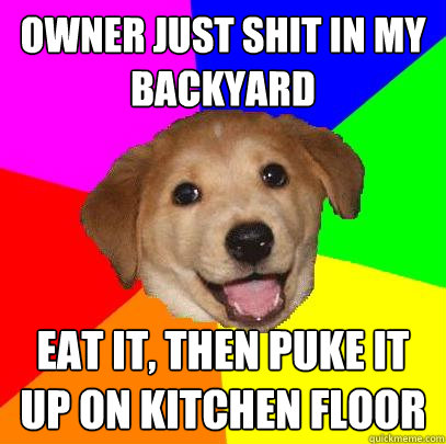 owner just shit in my backyard eat it, then puke it up on kitchen floor  Advice Dog