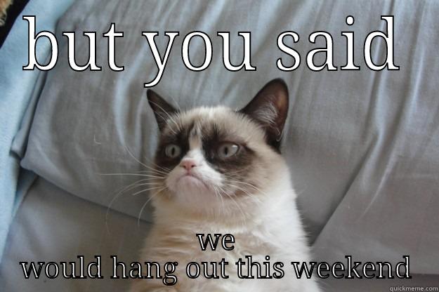 BUT YOU SAID WE WOULD HANG OUT THIS WEEKEND Grumpy Cat