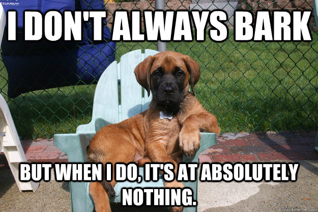 I don't always bark But when I do, it's at absolutely nothing.  The Most Interesting Dog in the World