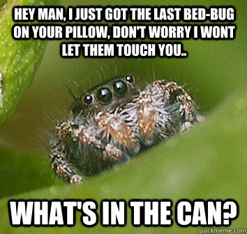 Hey man, i just got the last bed-bug on your pillow, don't worry i wont let them touch you.. What's in the can?  Misunderstood Spider