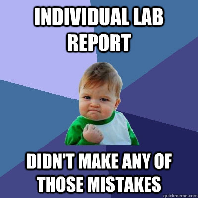 individual lab report didn't make any of those mistakes - individual lab report didn't make any of those mistakes  Success Kid