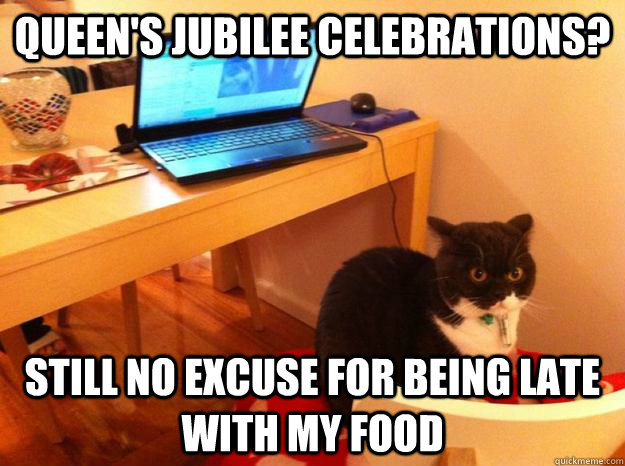 Queen's Jubilee celebrations? Still no excuse for being late with my food  Unimpressed Cat