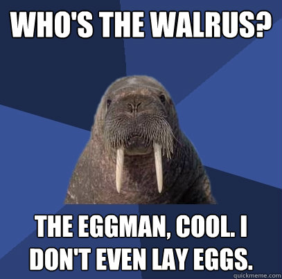 Who's the walrus? The eggman, cool. I don't even lay eggs.   Web Developer Walrus