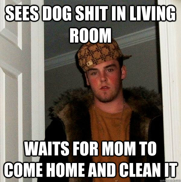 sees dog shit in living room waits for mom to come home and clean it  Scumbag Steve