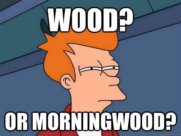 Wood? or Morningwood? - Wood? or Morningwood?  Futurama Fry